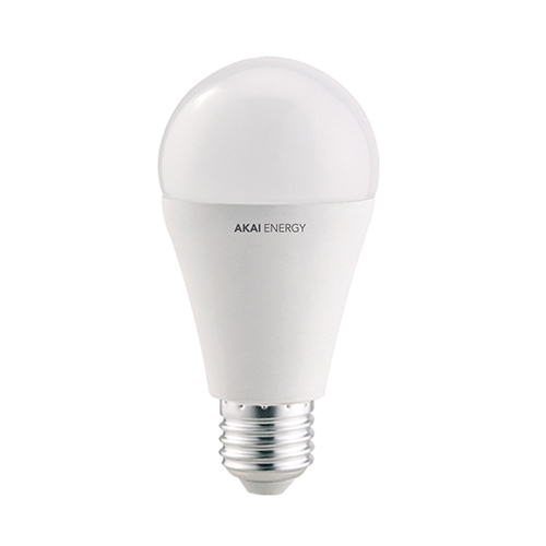 LAMP LED 15W=150W FRIA
